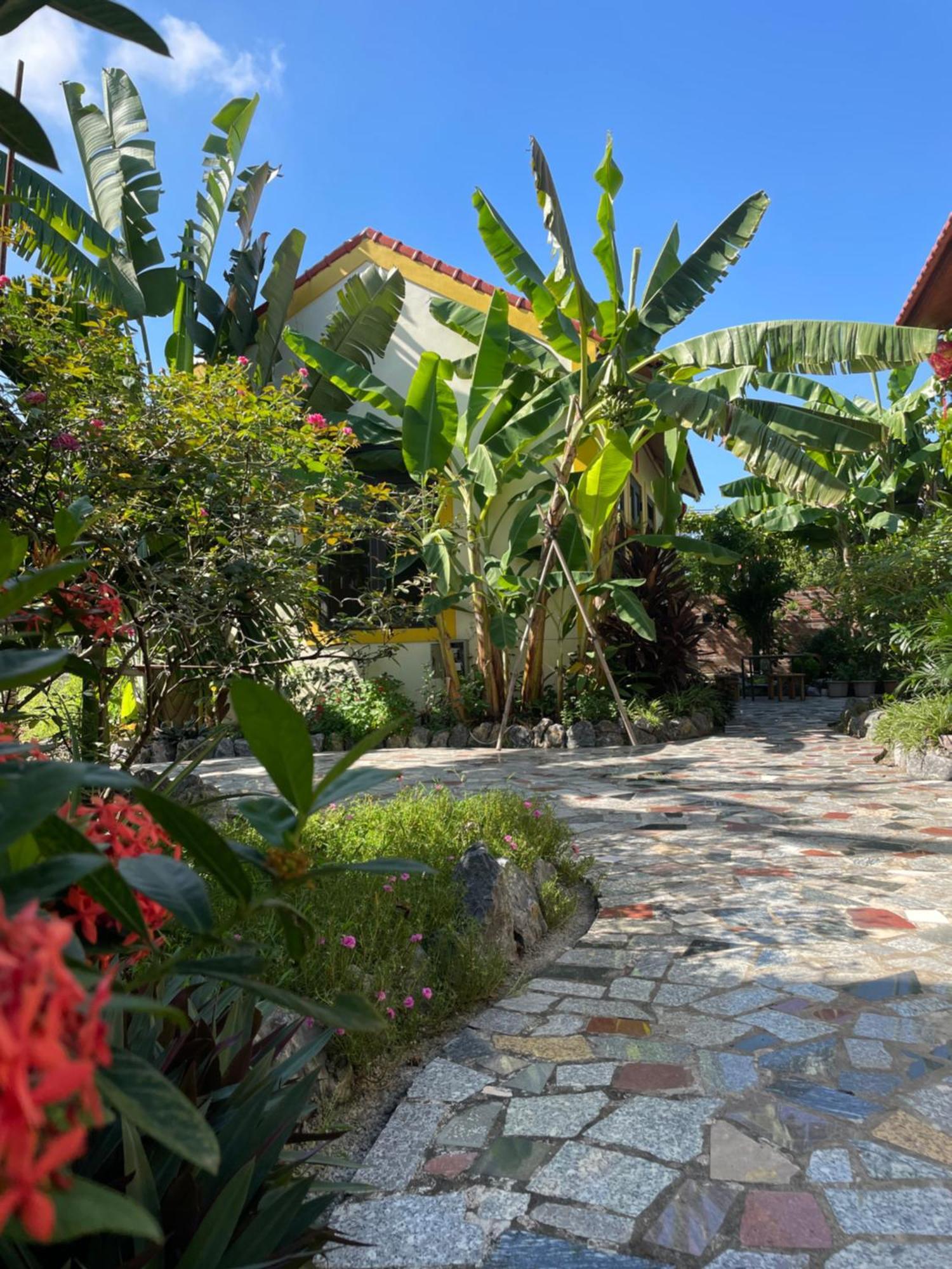 Ninh Binh Royal Homestay Eksteriør bilde