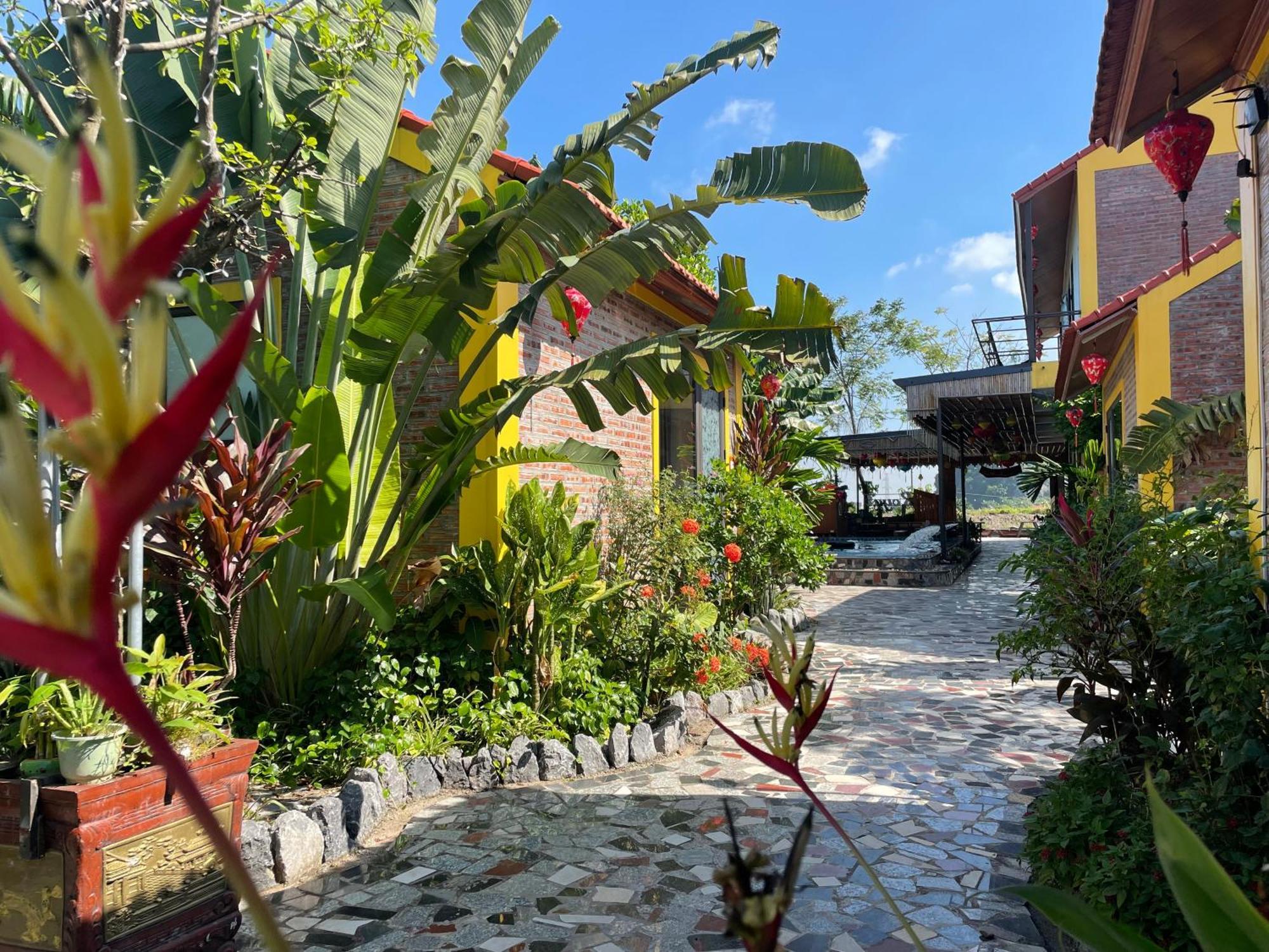 Ninh Binh Royal Homestay Eksteriør bilde